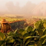 Tobacco Farm Vinales Valley Pinar del Rio Havana VIP